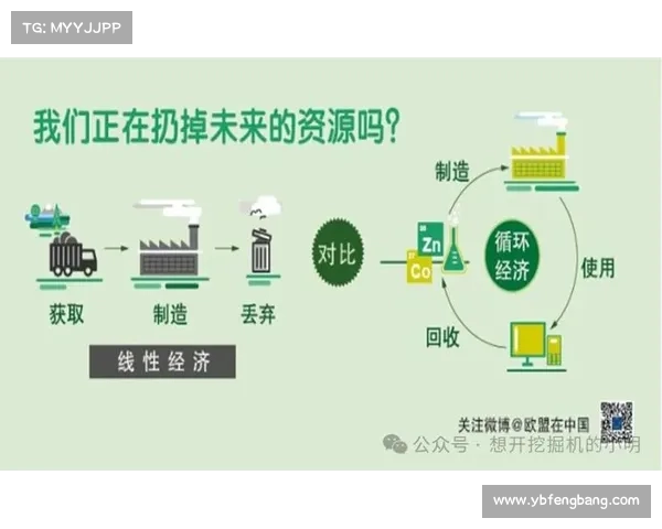 以消耗为中心探讨资源使用效率对可持续发展的影响与优化路径