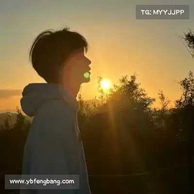 惠月泽